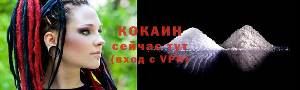 бошки Ельня