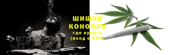 бошки Ельня