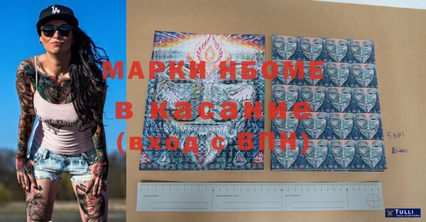 индика Заволжье