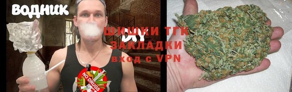 индика Заволжье